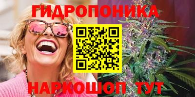 альфа пвп Заводоуковск