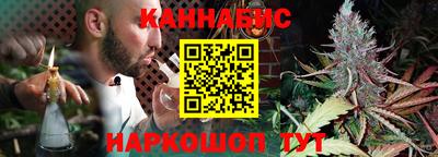 альфа пвп Заводоуковск
