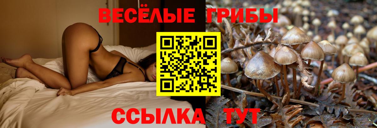 Галлюциногенные грибы мухоморы  Вход с VPN  Ликино-Дулёво 